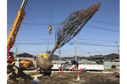 サンプルテキスト